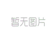 CHINA.CQ+PV重庆国际智慧能源及储能展